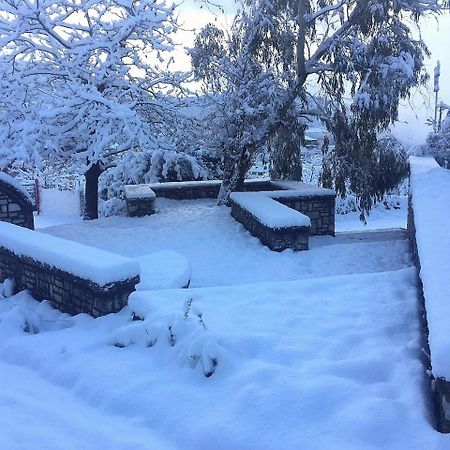 Elafos Spa Hotel Ellinikón Dış mekan fotoğraf