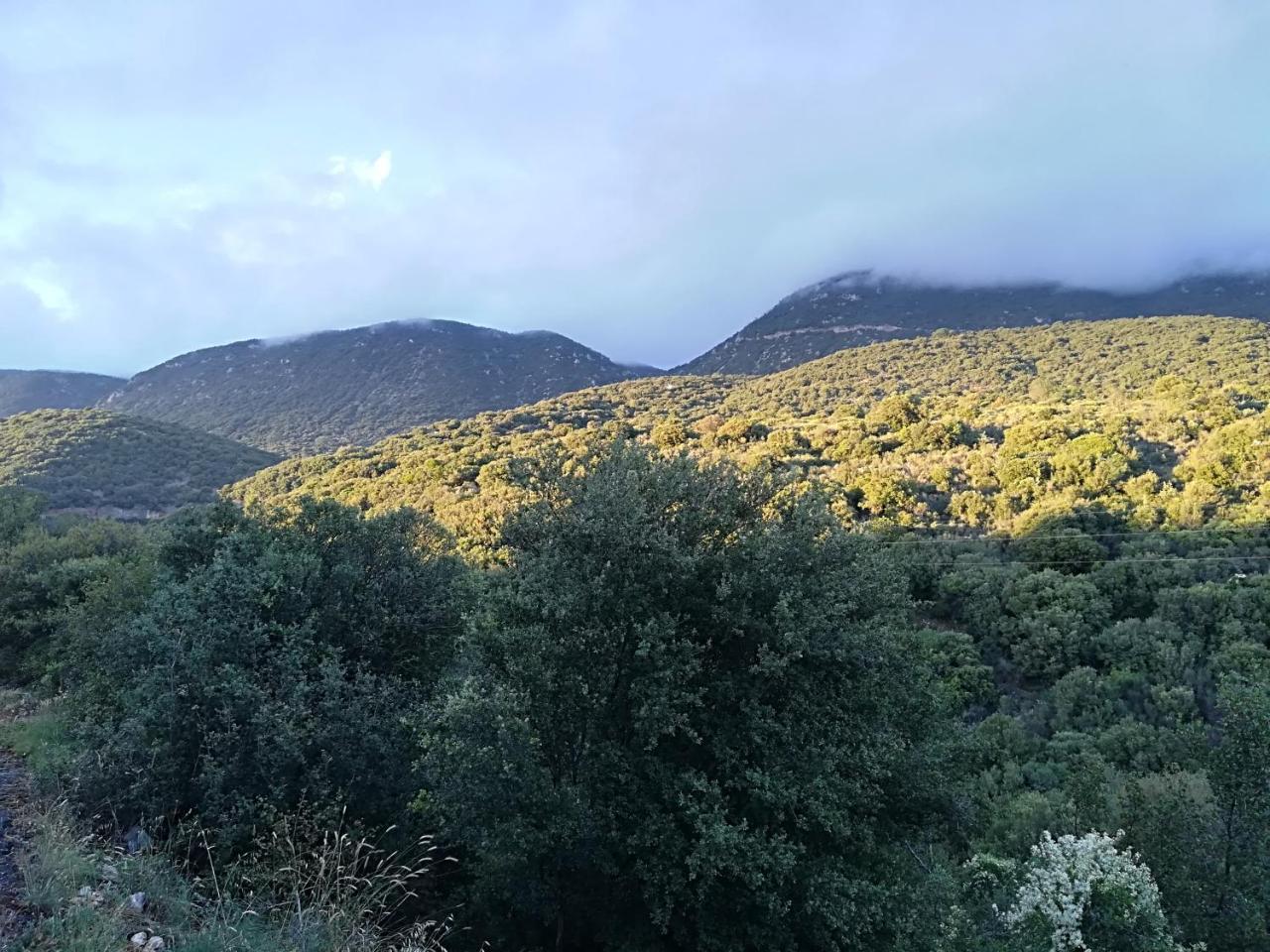 Elafos Spa Hotel Ellinikón Dış mekan fotoğraf
